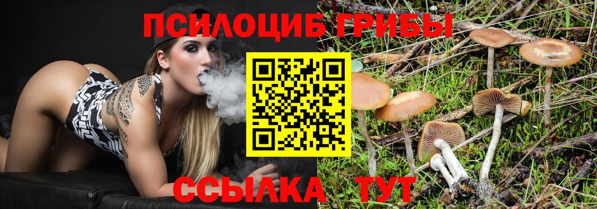 Алушта  Галлюциногенные грибы Psilocybe  Вход с VPN 