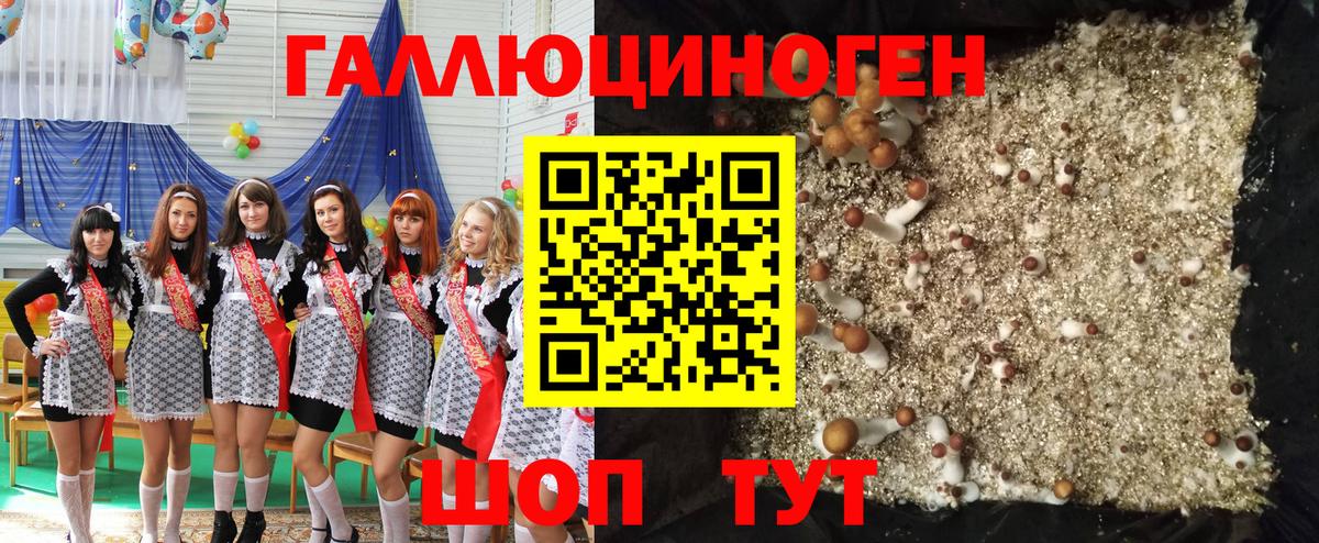 Галлюциногенные грибы GOLDEN TEACHER Алушта